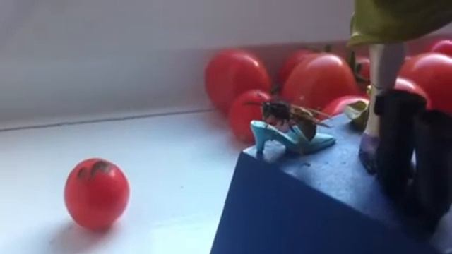 Wasp making love to a shoe смотреть онлайн