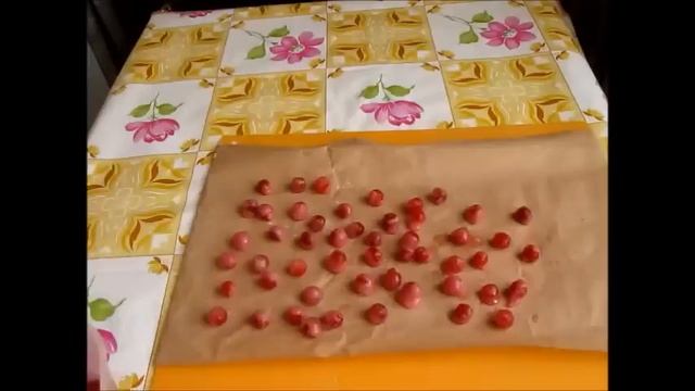 Калиновый кисель - не только вкусно, но и полезно. смотреть онлайн