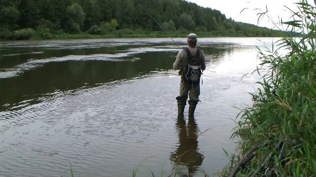 Река Неман Спиннинг Neman River Spinning