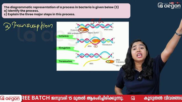 PLUS TWO | BIOLOGY CHAPTER 2,5,8 & 11 | SUPER OVER | AEGON LEARNING смотреть онлайн