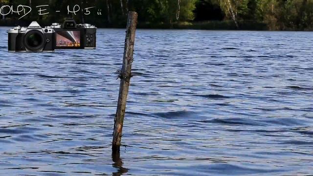 TOP FOŤÁKY (NEJEN) PRO YOUTUBERY смотреть онлайн