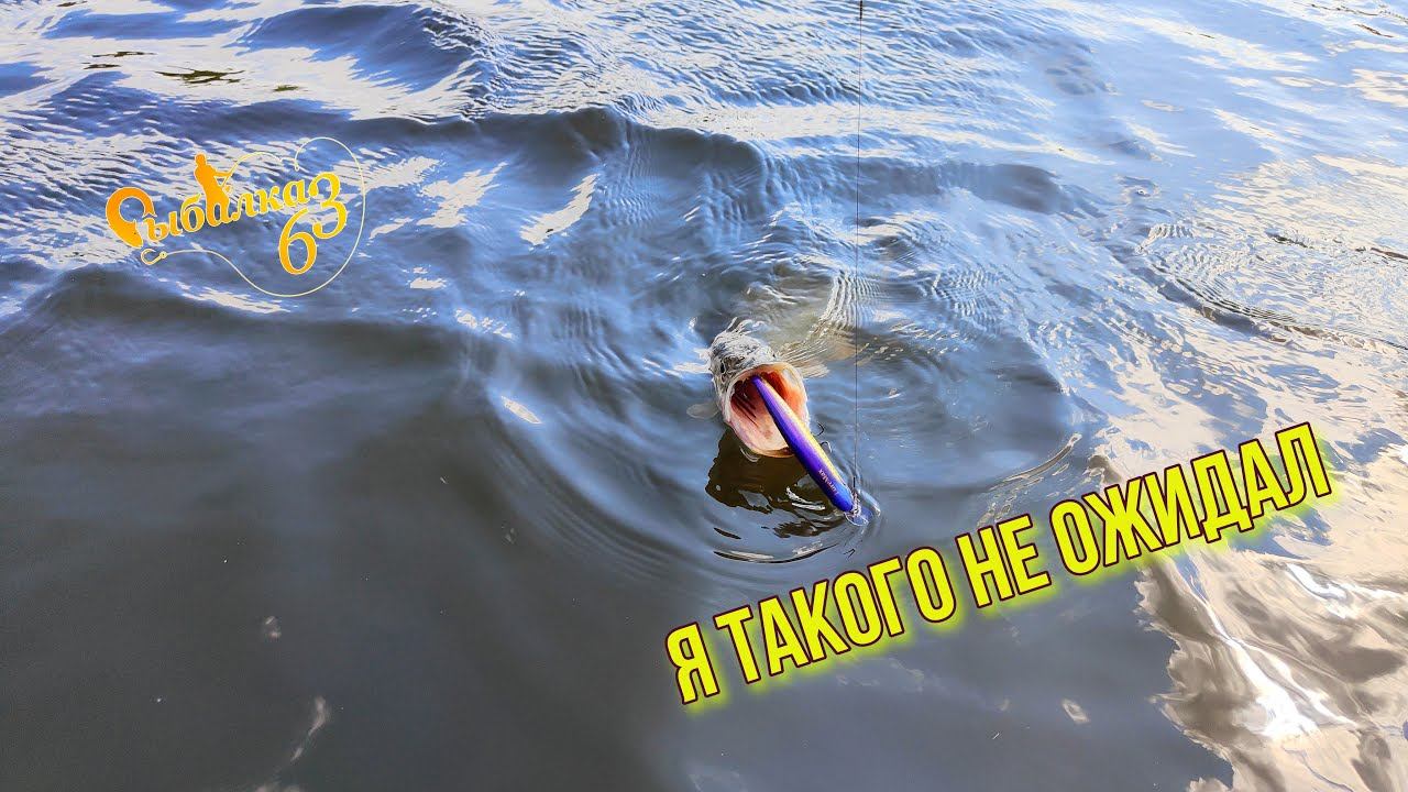 Я ТАКОГО НЕ ОЖИДАЛ ПОД ЗАНАВЕС. Рыбалка на спиннинг осенью смотреть онлайн