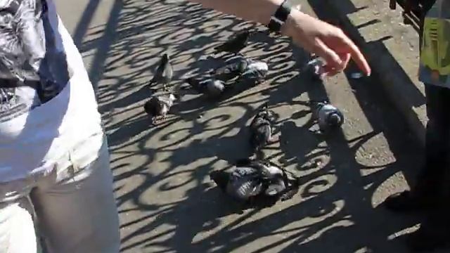 Отзыв о Карловых варах, Чехия.AVI смотреть онлайн