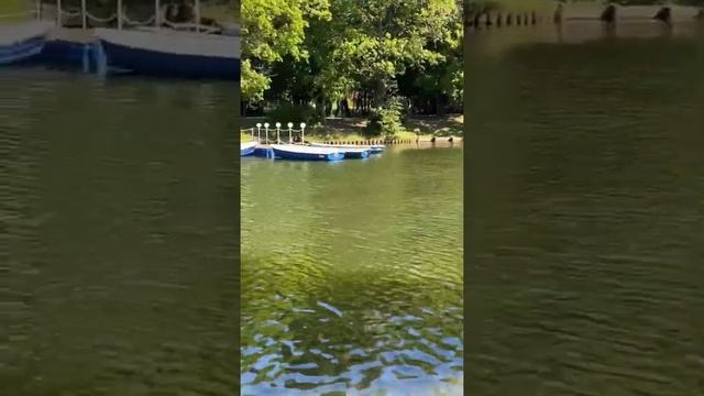 Воронцовский парк 3. Москва июль 2022 смотреть онлайн