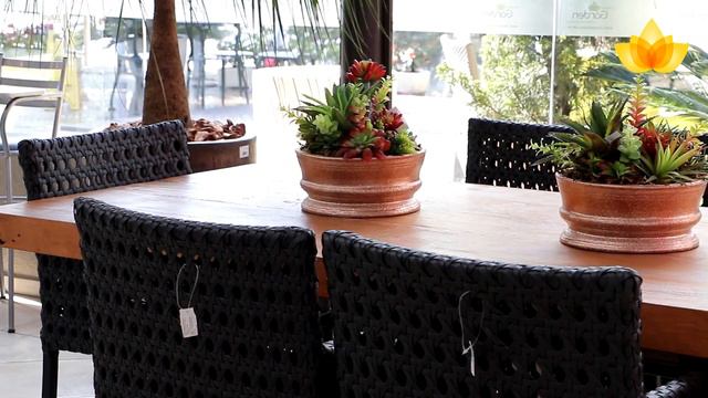 Garden Café смотреть онлайн