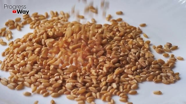 ПОСЛЕ ЭТОГО ДАЖЕ СТАРЫЕ ЦВЕТЫ В Старой И Пустой Земле Или Хилые Оживают И Цветут! смотреть онлайн