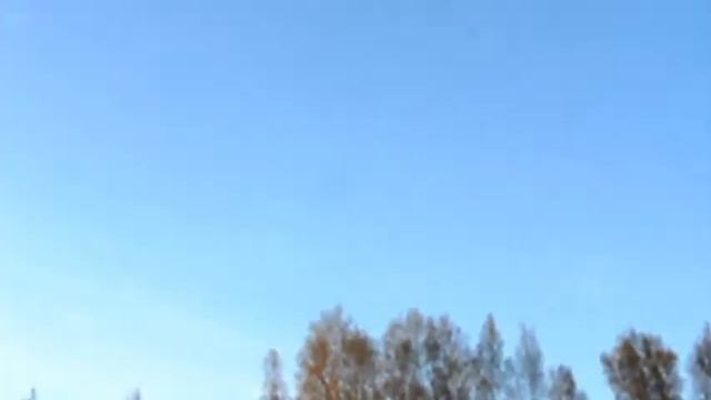 Видео охота на чаек смотреть онлайн