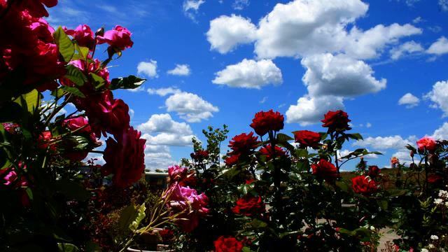 Слушать супер новую песню и видео 2015