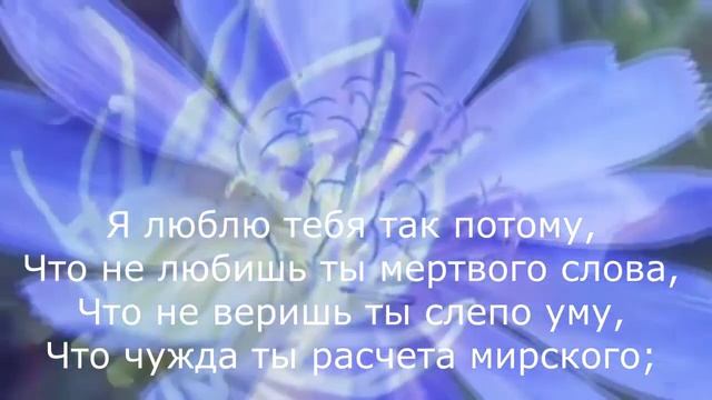 Алексей Апухтин - Я люблю тебя смотреть онлайн