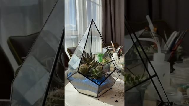 БОМБА!!! Как сделать флорариум с водоемом и водопадом ? смотреть онлайн