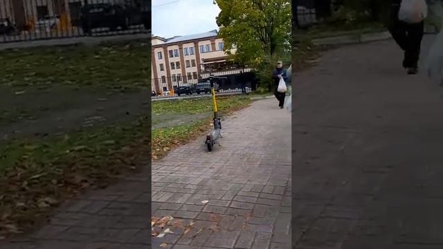 Идём в реабилитационный центр смотреть онлайн