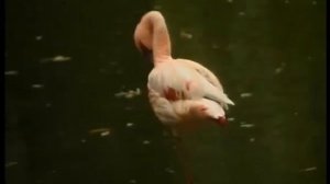 Мадрид 2 Испания Путешествия натуралиста