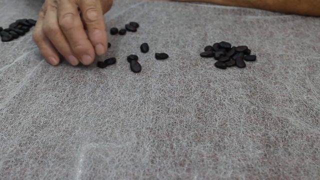 Гадание онлайн. Исполнится ли желание? Гадание да - нет. Гадание на бобах. смотреть онлайн