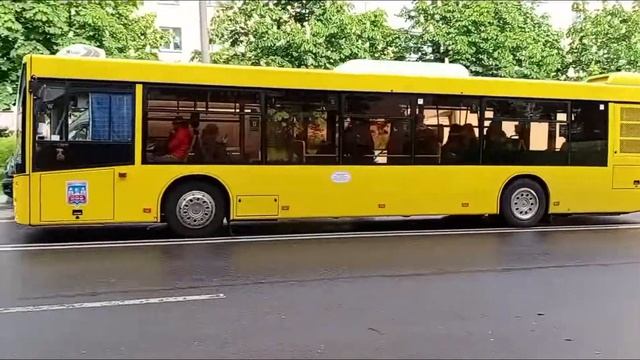Автобус МАЗ 203.015 на 163 маршруте. смотреть онлайн
