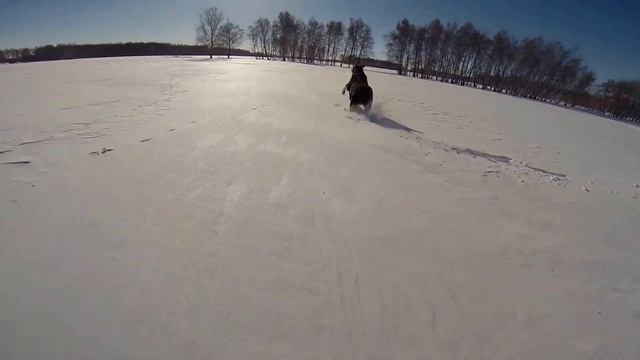 повстречали лося смотреть онлайн