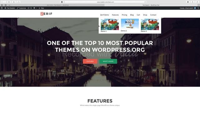 How To Create The Mega Menu Of Zelle WordPress Theme (Step By Step) смотреть онлайн