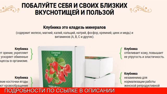 Выращивание клубники в домашних условиях круглый год смотреть онлайн