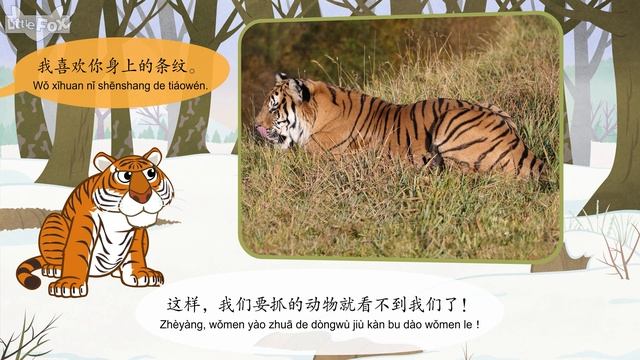 [4K] 认识动物 - 东北虎 ( Meet the Animals - Siberian Tiger | 老虎 | 童話故事 | Animals | Little Fox Chinese смотреть онлайн
