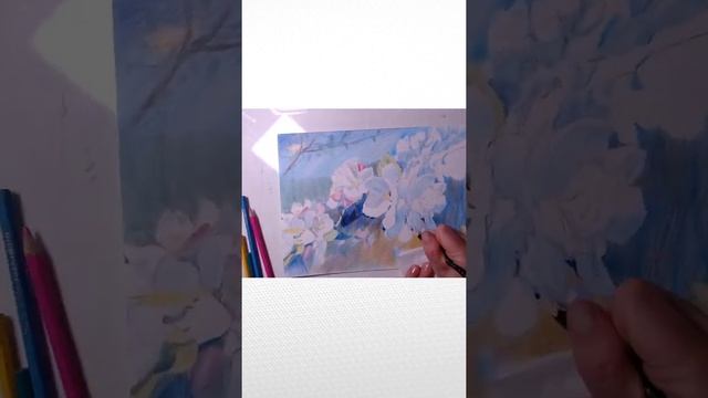 Рисую цветы акварельными карандашами смотреть онлайн