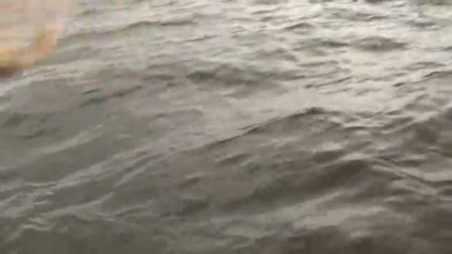 Троллинг на Каме. смотреть онлайн