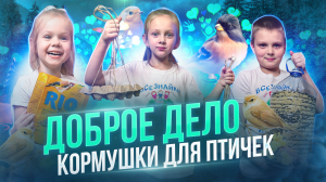 Сделали кормушки для птиц своими руками!