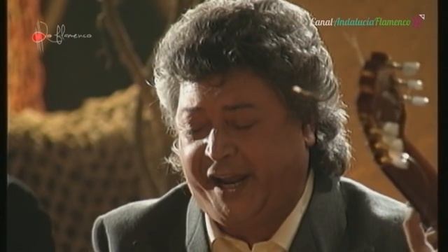 Bulerías. Pansequito. 1995 смотреть онлайн