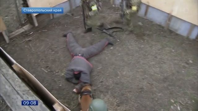 Телефончик предъявите: почему Росгвардия может досмотреть мобильный телефон смотреть онлайн