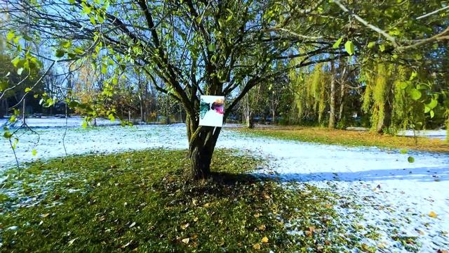 A Funky Twist on a 2023 Bloom: Acrylic Pour Vibes ? #fluidart #acrylicpour #abstractart 244 смотреть онлайн