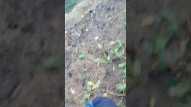 КЛЕВ ЩУКИ В СЕНТЯБРЕ ( В ОЧЕНЬ ЖИВОПИСНОМ МЕСТЕ смотреть онлайн