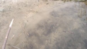 Традиционная рыбалка с острогой  на речке Дэркуль