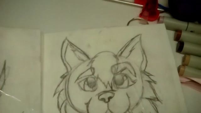 Wolf Sketch смотреть онлайн
