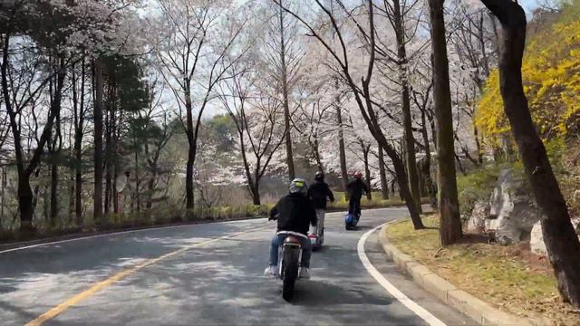 Electric Scooter WEPED Sonic X SoYeon Test Drive