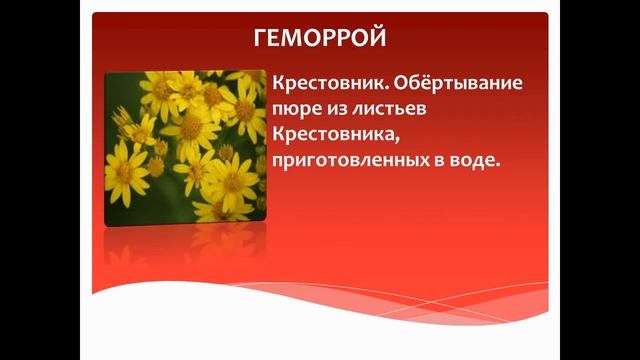 ГЕМОРРОЙ - ЛЕЧЕНИЕ СИЛАМИ ПРИРОДЫ