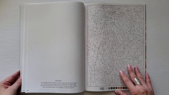 Flip Through Mystery Colors - Birds & Flowers Coloring Magazine смотреть онлайн