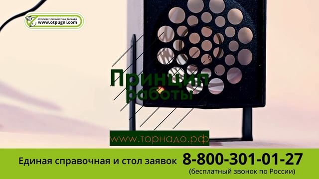 Ультразвуковые отпугиватели крыс и мышей Торнадо смотреть онлайн