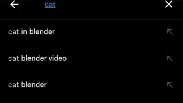 cat in blender video l cat video l twitter cat in blender l cat in a blender video смотреть онлайн