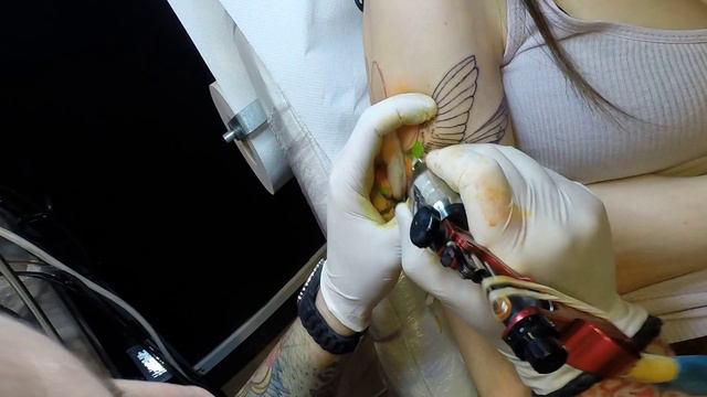 COLIBRI ( Time-lapse) смотреть онлайн