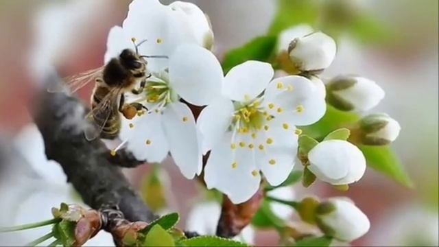 Ты моя ошибка! Красивая песня о любви! смотреть онлайн