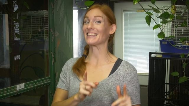 Game Time With Our Picky Porcupine! смотреть онлайн