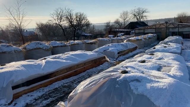 Разведение калифорнийских червей на улице 27.12.2020 год. Подготовка к зимовке. смотреть онлайн