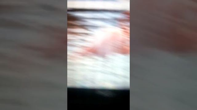 Как поменять обои рабочего стола смотреть онлайн