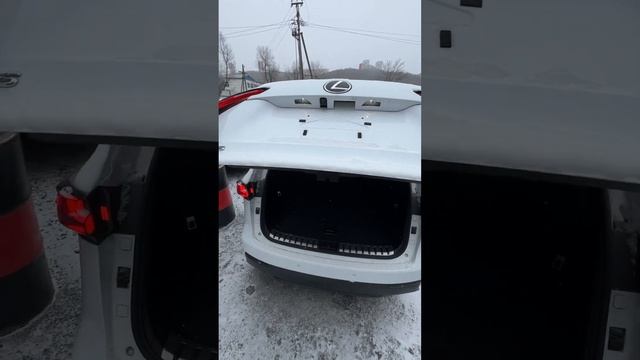 Аукционный Lexus nx300 с нюансом❌? #подборавто #владивосток #чаусовантон #89142051209 смотреть онлайн