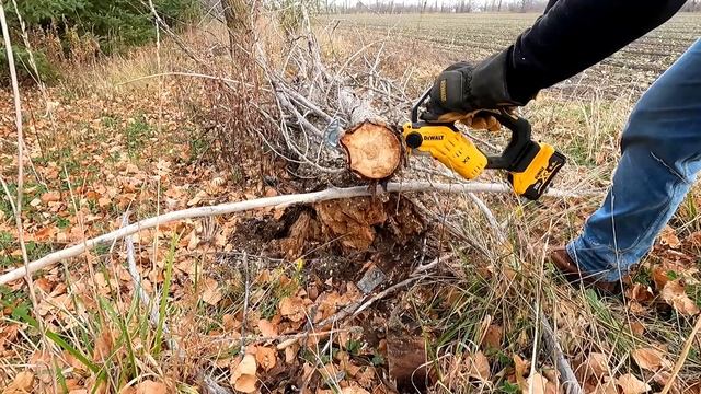DEWALT 20V 8" Brushless Pruning Chainsaw Review DCCS623B DCCS623L1 смотреть онлайн