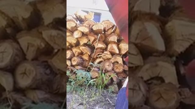 Barty Teaser 1 смотреть онлайн