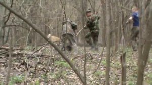 работа лайки по барсуку