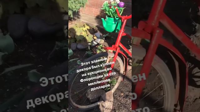 Мама поставила для красоты 😻 #интересное #юмор #деревня #распаковка #дача #декор#лизайн#велосипед