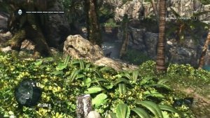Assassin's Creed 4. Поиск сокровищ. Координаты 70,405 Тулум