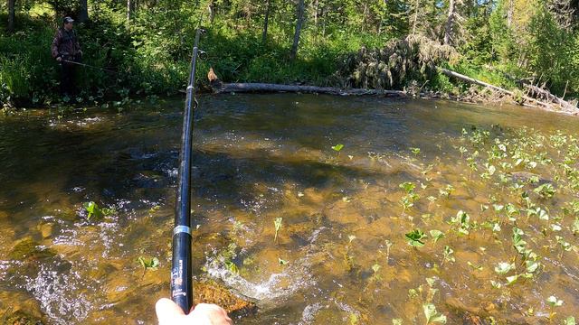 Нарвались на мелочевку((( смотреть онлайн