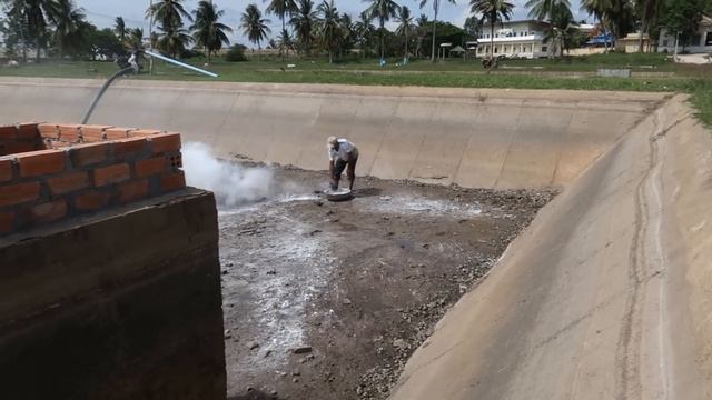 Fish Breeding || Pangasius Fish Breeding Process  Part 2