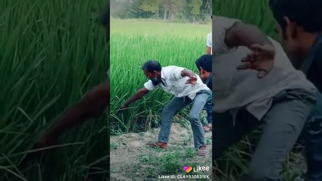 Приколы,очковая змея смотреть онлайн